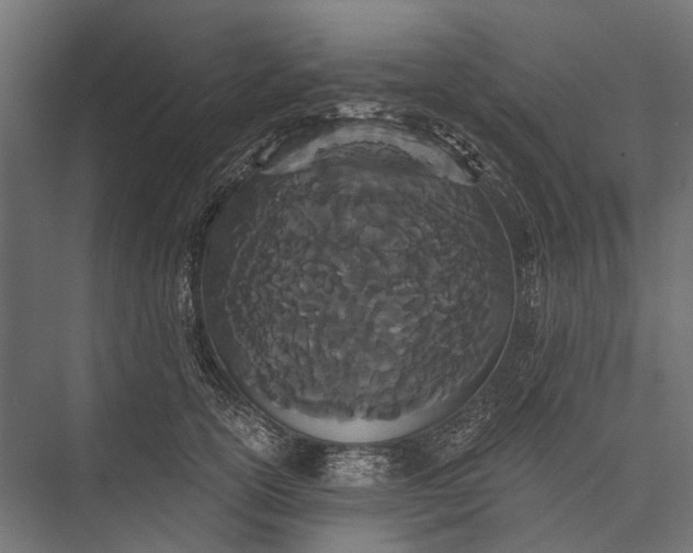 X0000076060754200610061536