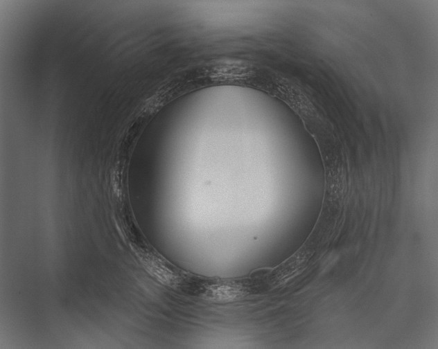 X0000076060755200610061536