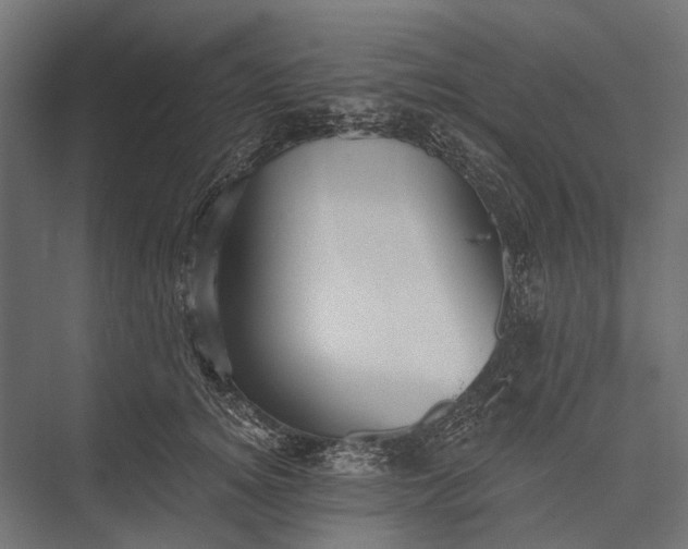 X0000076060756200610061536