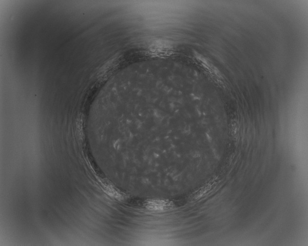 X0000076060757200610061536