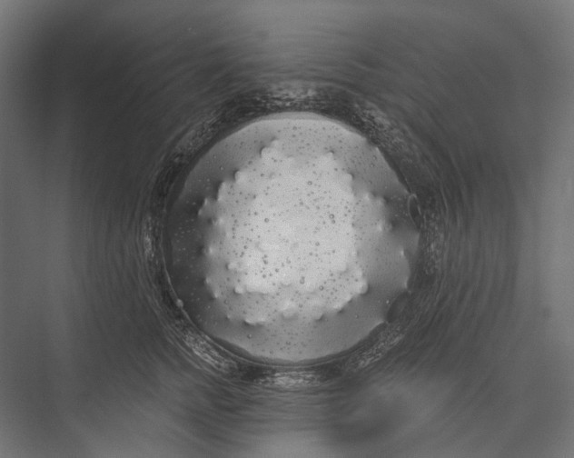 X0000076060758200610061536