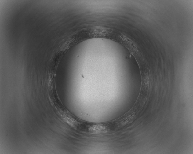 X0000076060759200610061536