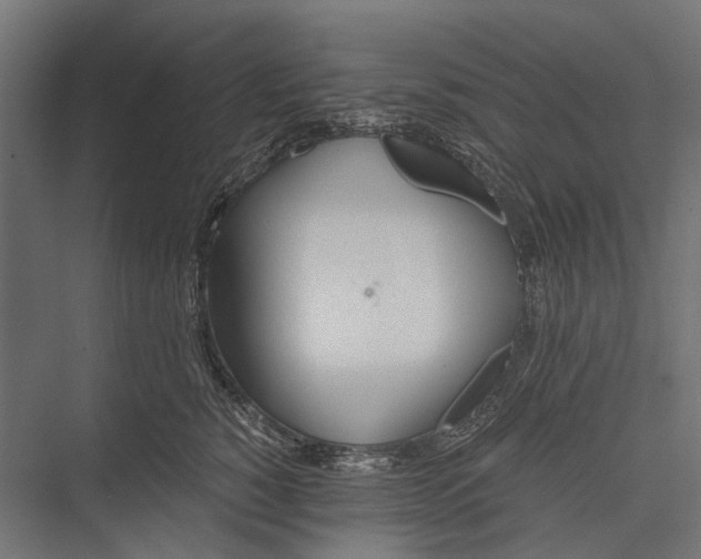 X0000076060760200610061536