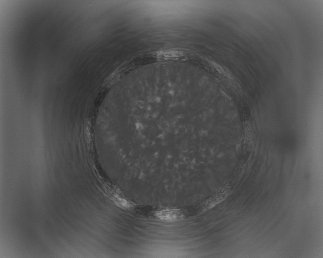 X0000076060761200610061536