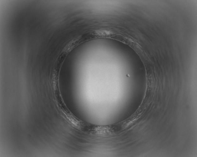 X0000076060762200610061536