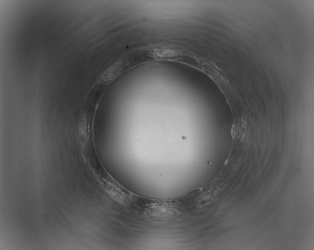 X0000076060763200610061536