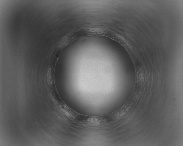 X0000076060764200610061536