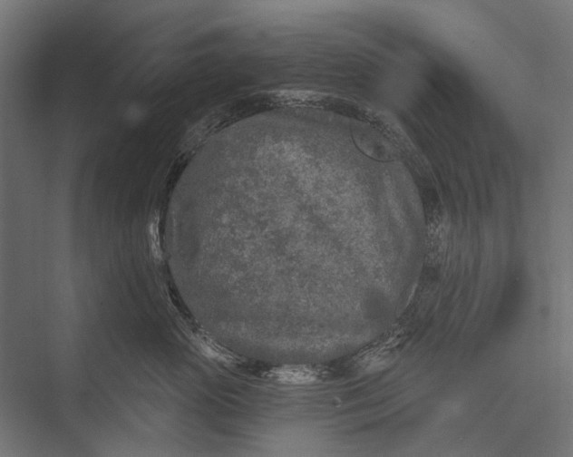 X0000076060765200610061536