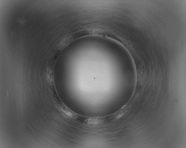 X0000076060766200610061536