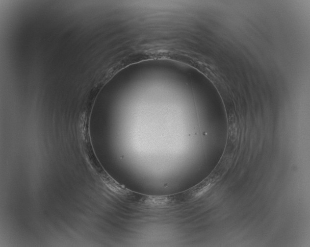 X0000076060767200610061536