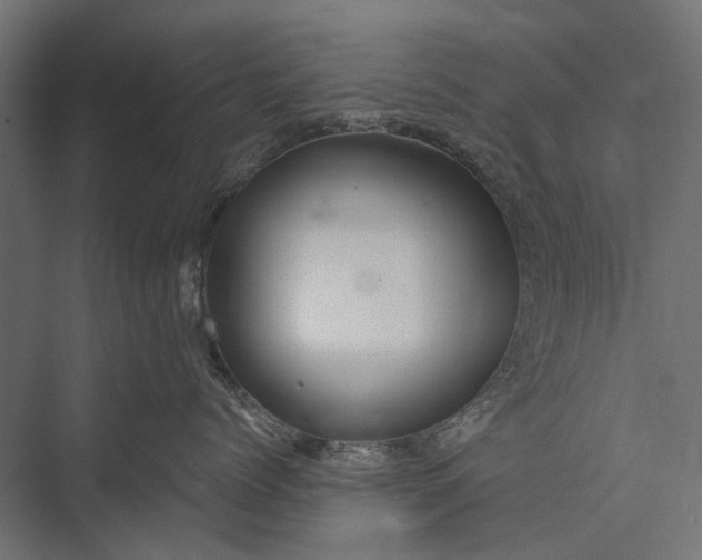 X0000076060768200610061536