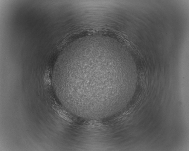 X0000076060770200610061535