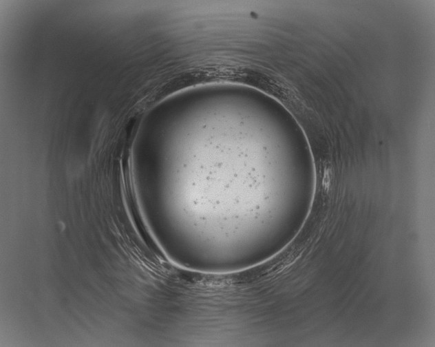 X0000076060771200610061535