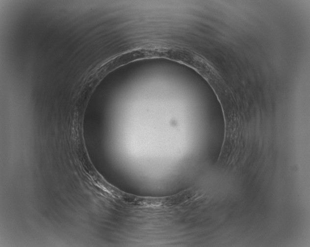 X0000076060773200610061535