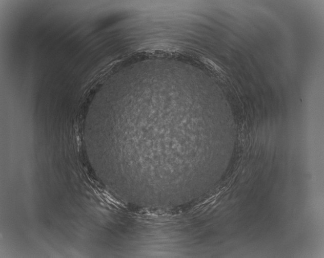 X0000076060774200610061535