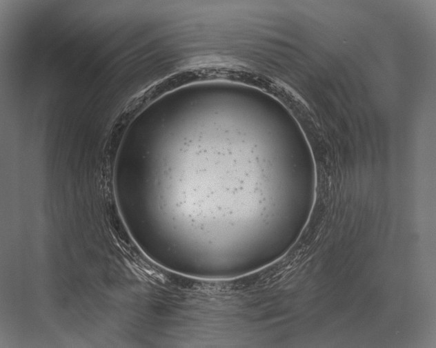 X0000076060775200610061535