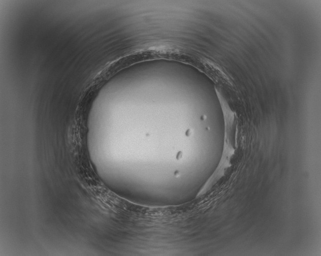 X0000076060776200610061535