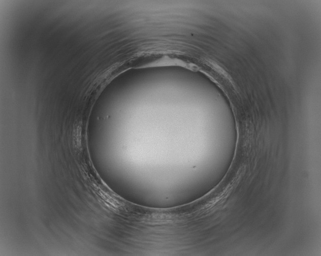 X0000076060777200610061535