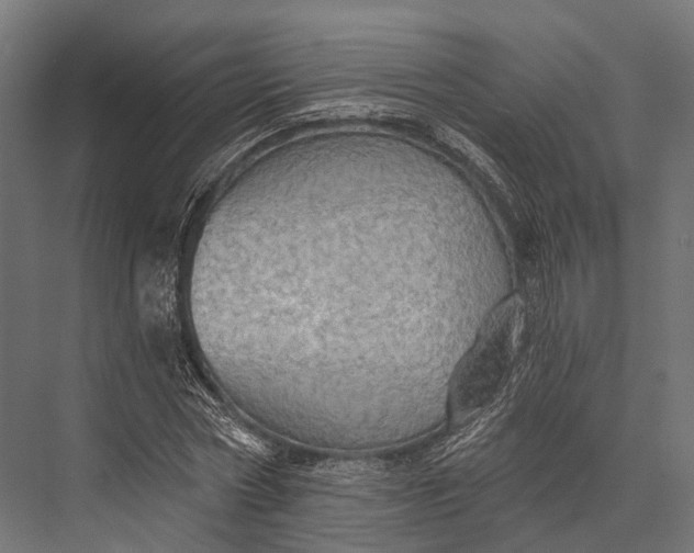 X0000076060778200610061535