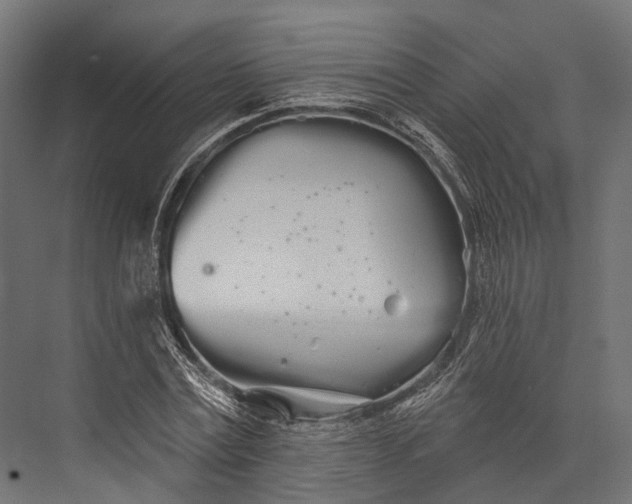 X0000076060779200610061535