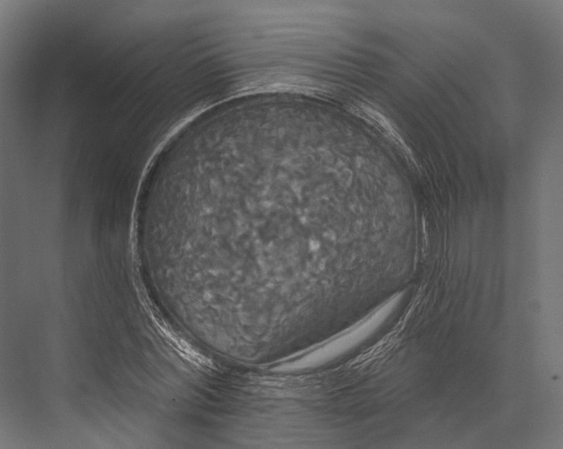 X0000076060780200610061535