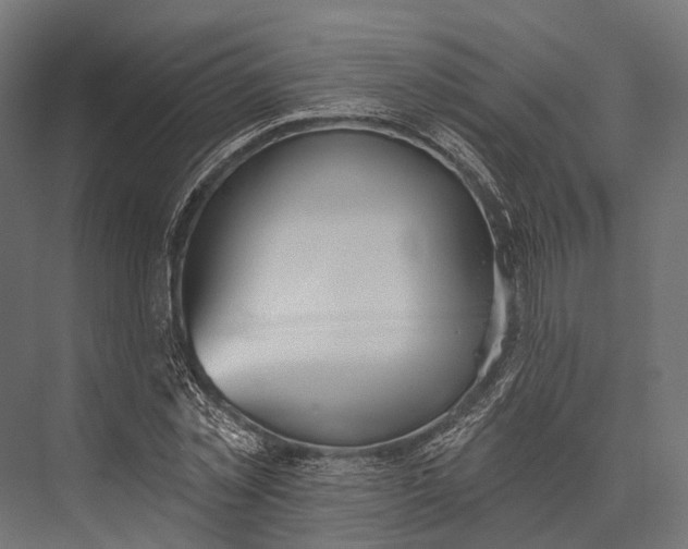 X0000076060781200610061535