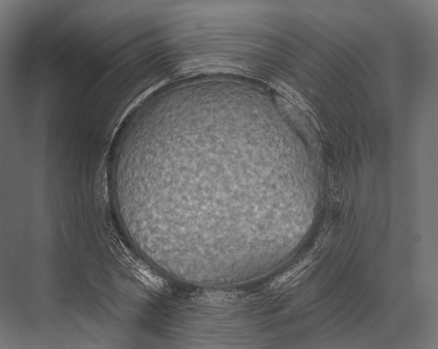 X0000076060782200610061535