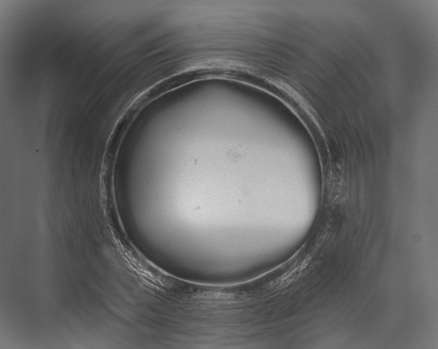 X0000076060783200610061535