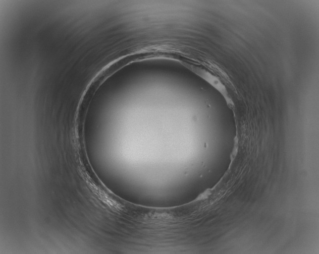 X0000076060784200610061535