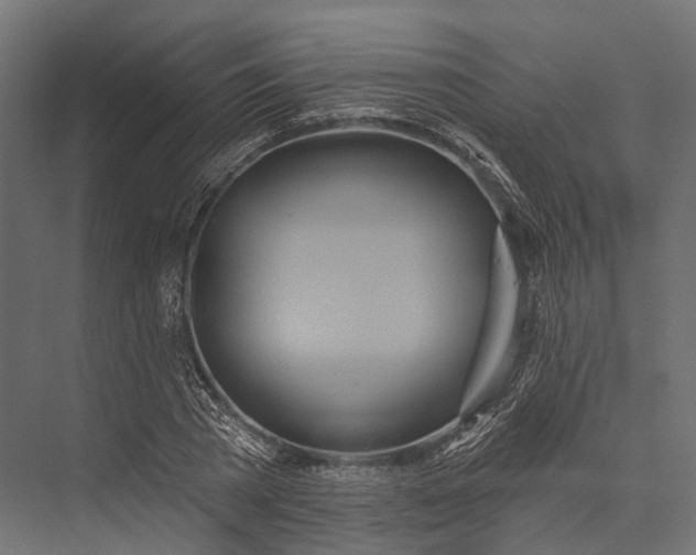 X0000076060785200610061535