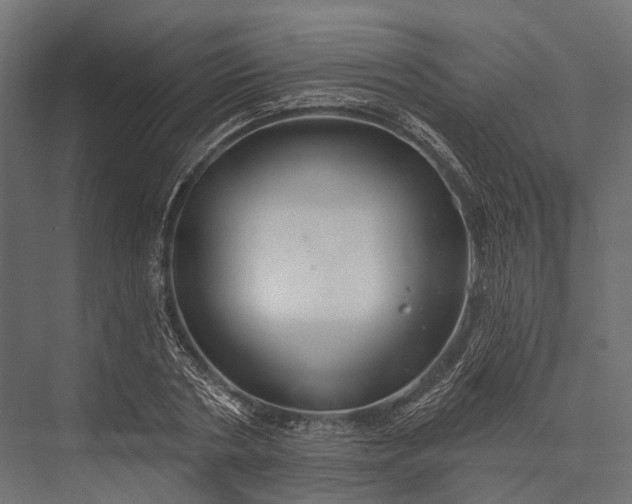 X0000076060786200610061535