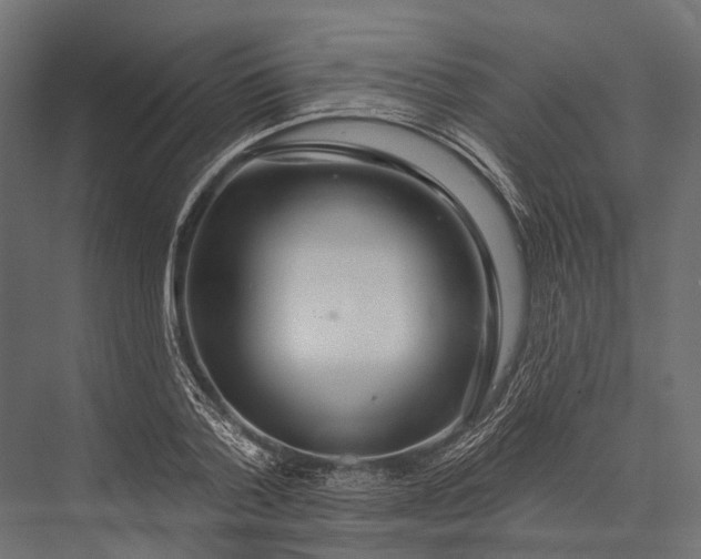 X0000076060788200610061535