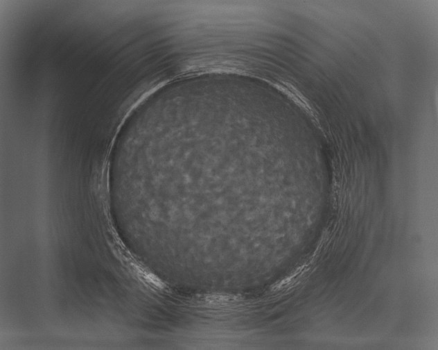 X0000076060790200610061535