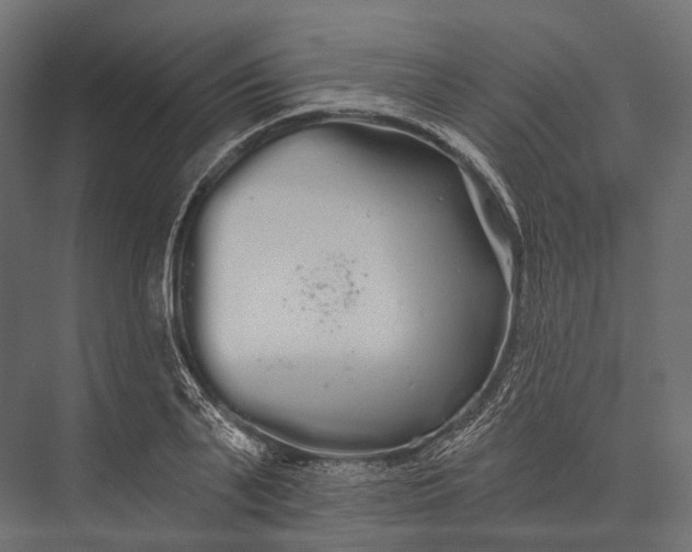 X0000076060791200610061535