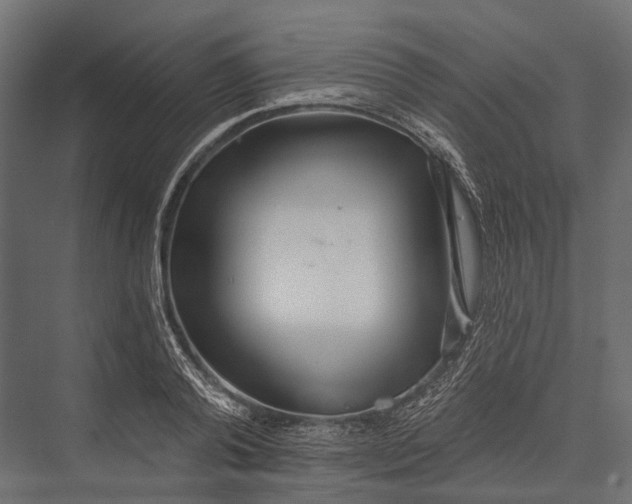 X0000076060792200610061535