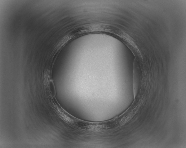 X0000076060793200610061535