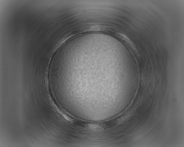 X0000076060794200610061535