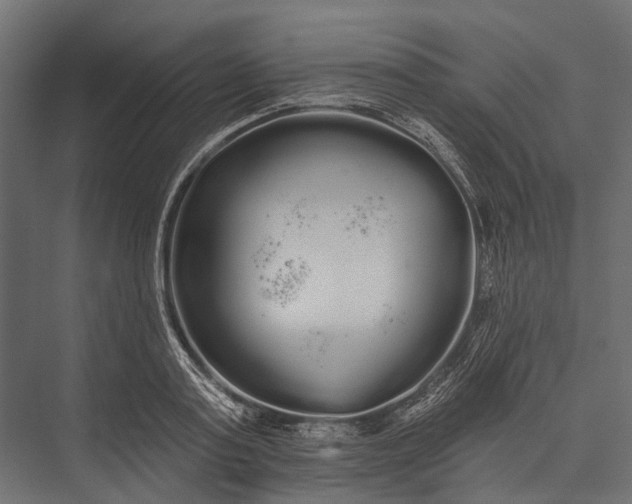 X0000076060795200610061535