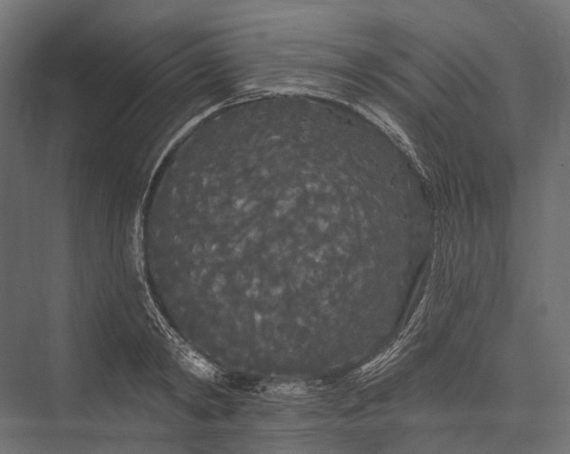 X0000076060798200610061535