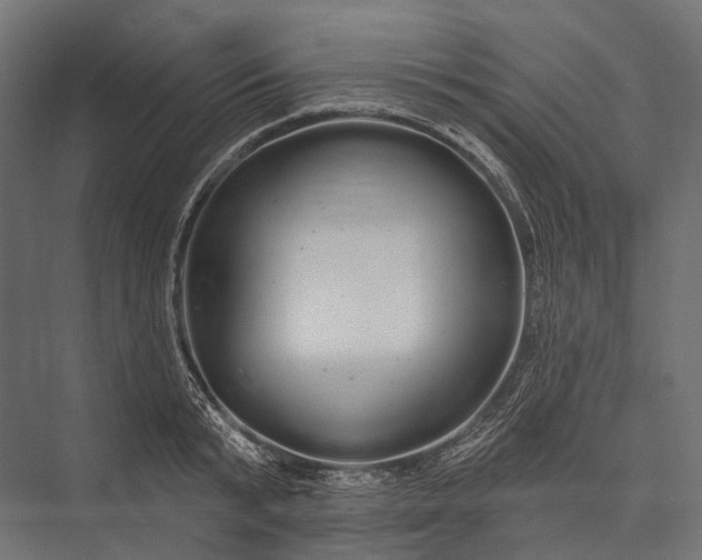 X0000076060799200610061535