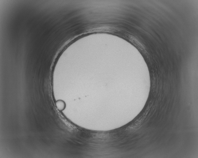 X0000076060800200610061535