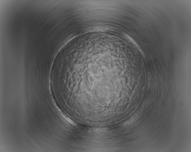 X0000076060802200610061535