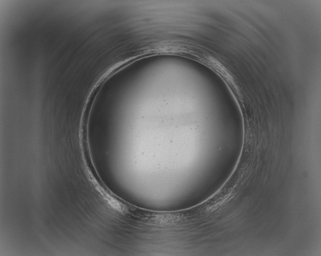 X0000076060803200610061535