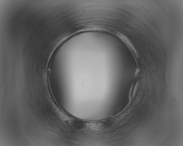 X0000076060805200610061535