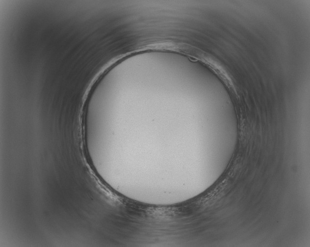 X0000076060808200610061534