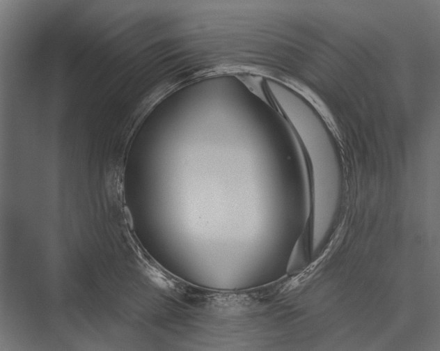 X0000076060809200610061534