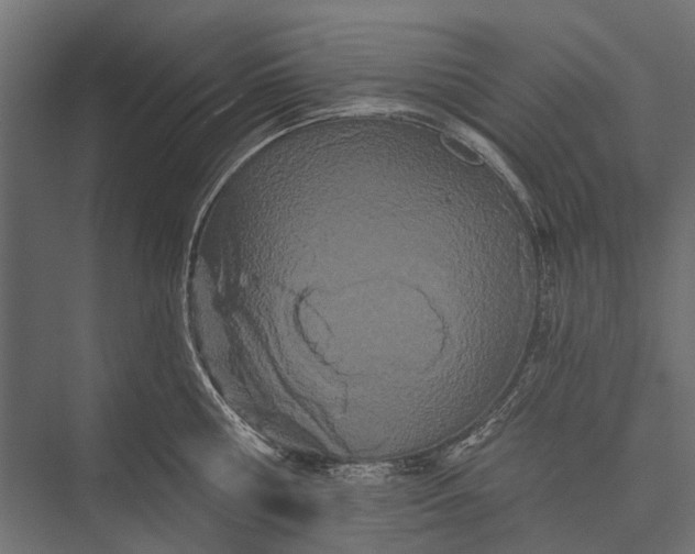 X0000076060810200610061534