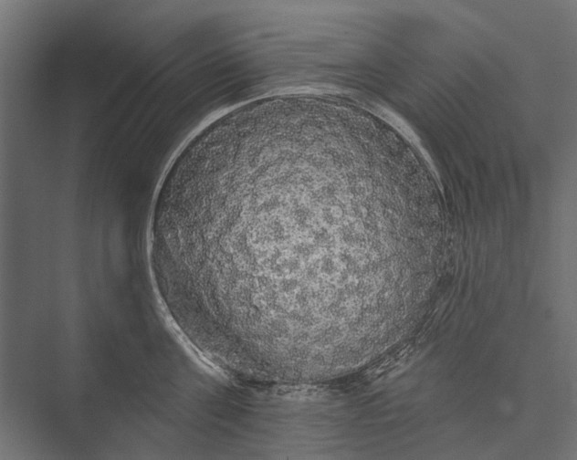 X0000076060811200610061534