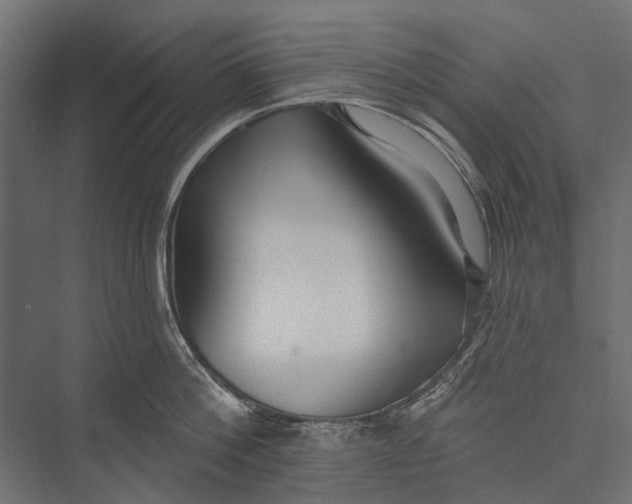 X0000076060812200610061534