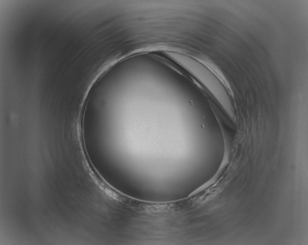 X0000076060813200610061534